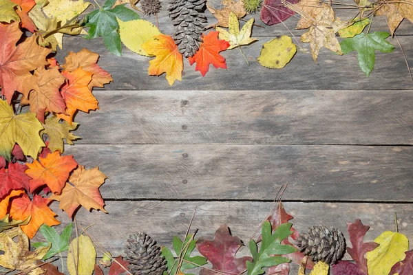 Fall seasonal wood table — Stock Photo, Image