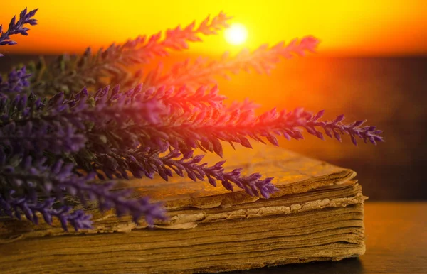 Lavendelstrauß liegt auf dem alten Buch bei Sonnenuntergang — Stockfoto
