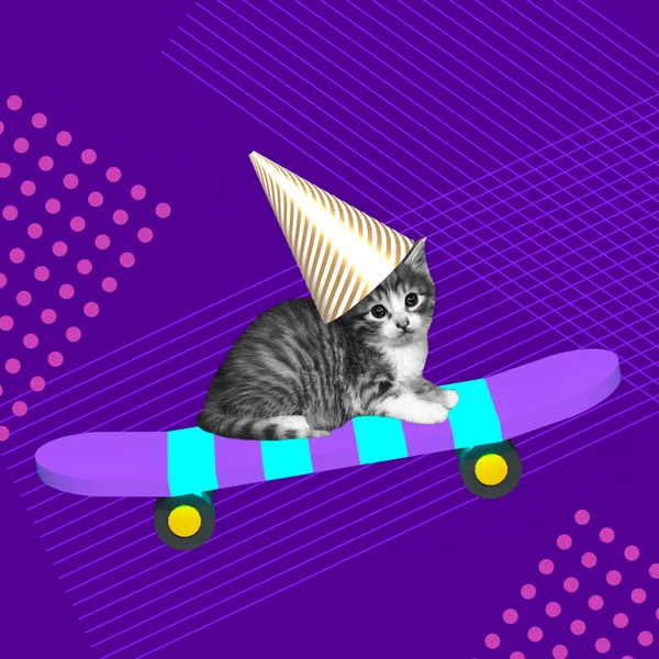 Gato Engraçado Boné Aniversário Skate Gosta Férias Colagem Arte Contemporânea — Fotografia de Stock
