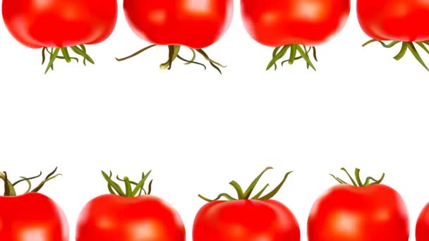 Dos Hileras Tomates Rojos Jugosos Maduros Sobre Fondo Blanco Animación — Vídeo de stock