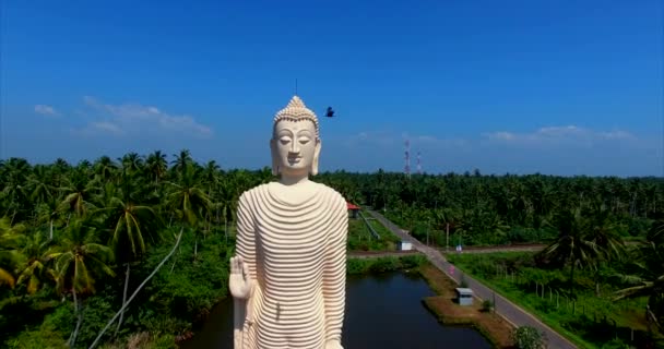 Statua di Buddha Peraliya Tsunami Sri Lanka drone filmati aerei — Video Stock