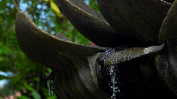 Bali, ubud, fontána přírodní pozadí, voda — Stock video