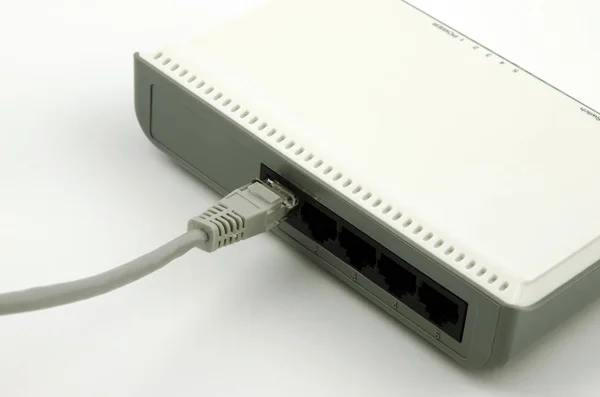 Close-up view of a gray lan cable plugged into a router with empty slots on a white background — Stock Photo, Image