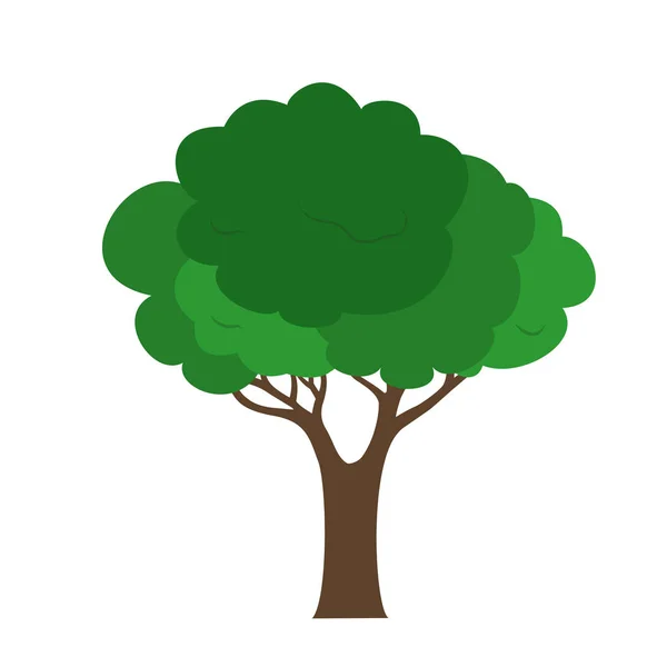 Ilustración vectorial de un árbol verde con un tronco marrón aislado sobre un fondo blanco — Vector de stock