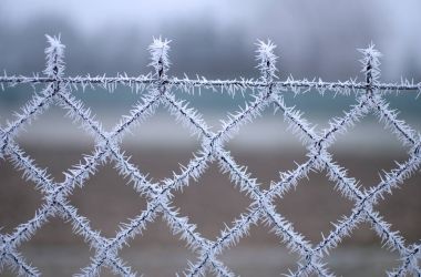 Bir tel örgü ile frost buz kristalleri ile arka plan bulanık mavi gökyüzü altında ile yakın çekim görünümünü bir güneşli kış gününde