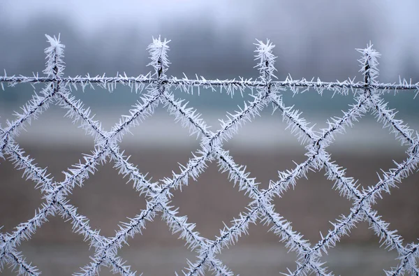 Datailní pohled drátěný plot s mrazem s krystaly ledu pod modrou oblohou s rozmazané pozadí na slunný zimní den — Stock fotografie
