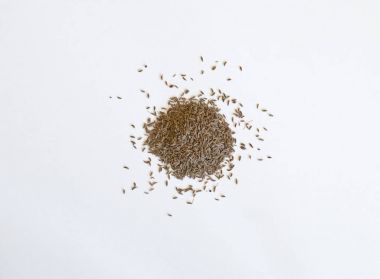 Beyaz porselen fincan espresso kahve kremalı beyaz arka plan üzerinde izole ile görünümünü