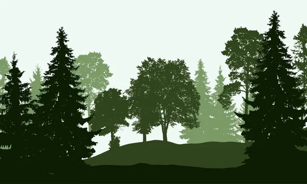 Ilustración vectorial de un bosque caducifolio y de coníferas — Vector de stock
