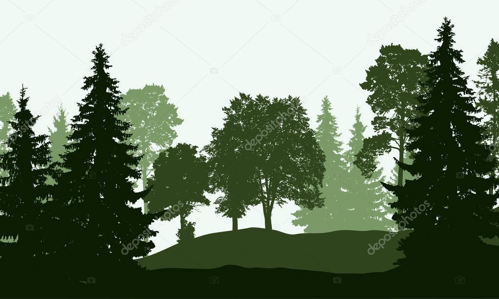 Vector illustration of a deciduous and coniferous forest