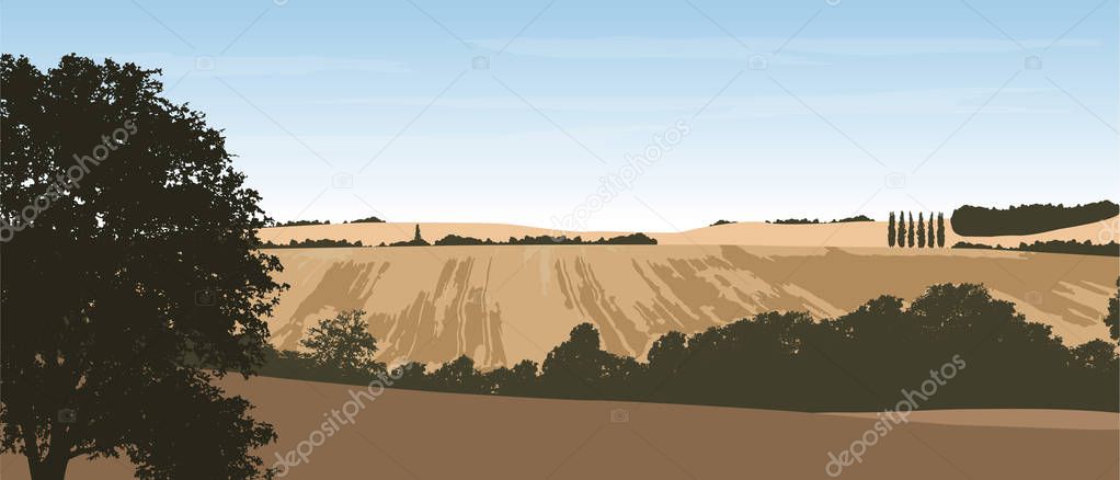 Realistic vector illustration of a hilly landscape with a field 