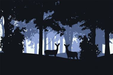 Vektör çizim yaprak döken orman doe ve geyik