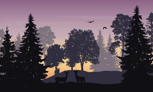 Illustration vectorielle réaliste d'une forêt de feuillus avec une biche, de — Image vectorielle