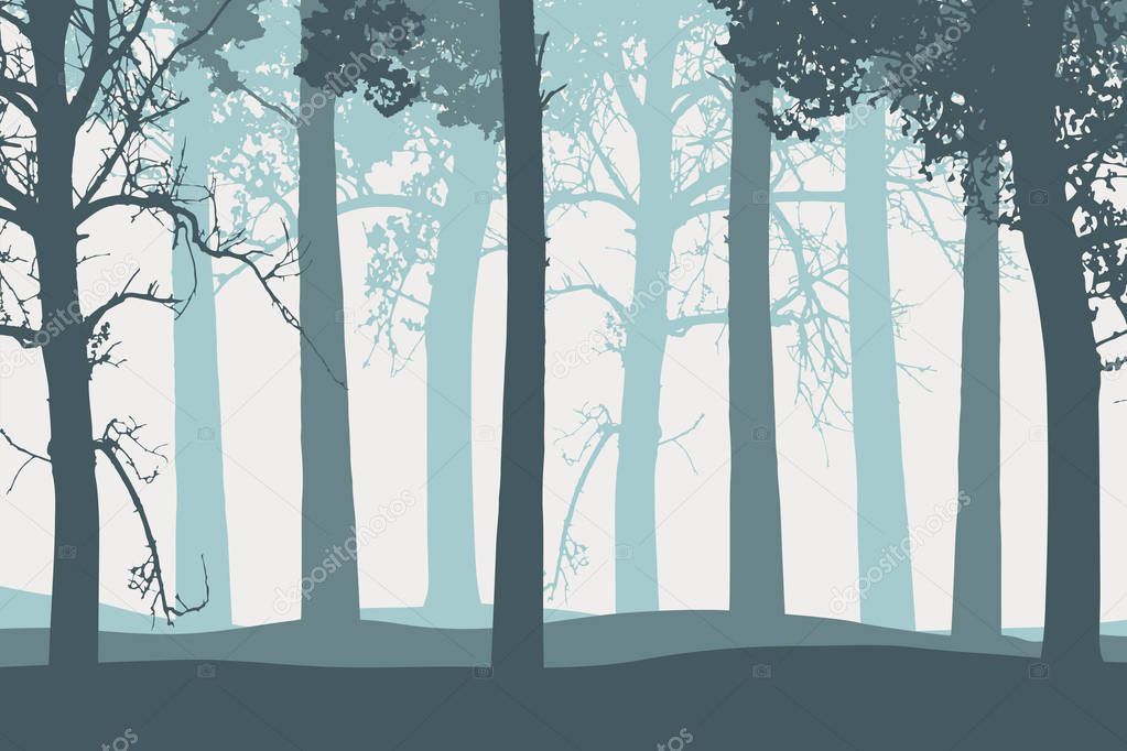 Vector illustration of tree trunks with branches in forest