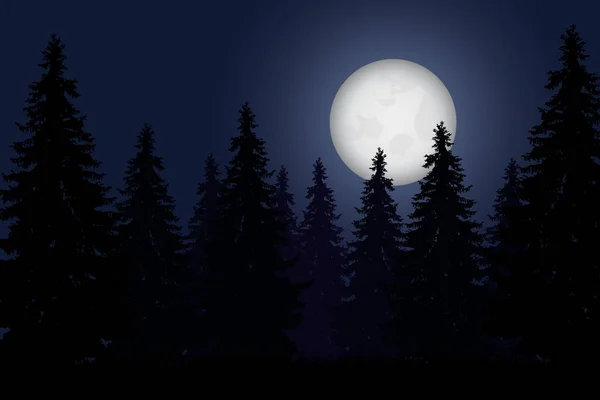 Ilustração vetorial realista da floresta com árvores sob o céu com lua brilhante —  Vetores de Stock