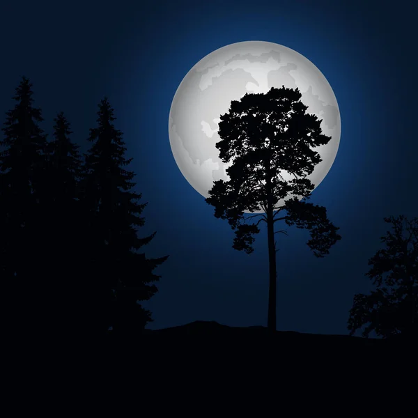 Ilustración realista de un paisaje con árboles de coníferas bajo un cielo nocturno azul con una luna luminosa - vector — Archivo Imágenes Vectoriales