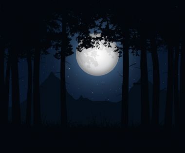 Gerçekçi illüstrasyon bir manzara ile iğne yapraklı ağaçlar altında mavi gece gökyüzünde yıldızlar ve parlayan bir ay - vektör