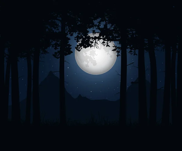 Realistic illustration of a landscape with coniferous trees under a blue night sky with stars and a shining moon - vector — Stock Vector