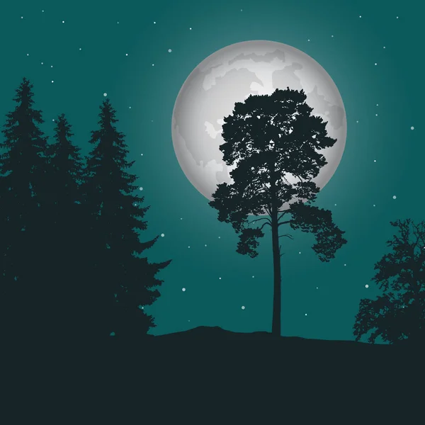 Ilustração realista vetorial de uma floresta assombrada com grama sob um céu noturno verde com lua e estrelas —  Vetores de Stock