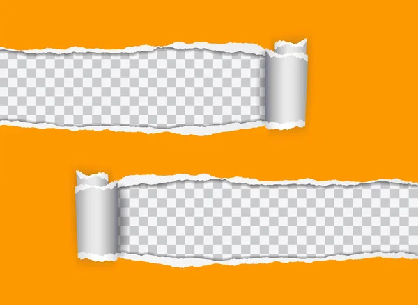 Defina a ilustração realista vetorial de papel rasgado laranja com borda enrolada em fundo transparente com moldura para texto —  Vetores de Stock