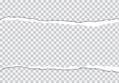 Vektör gerçekçi yırtık kağıt ile şeffaf arka plan ile çerçeve haddelenmiş kenarında metin için çizim