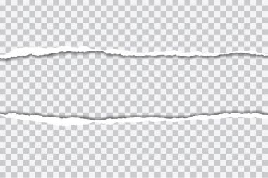 vektör gerçekçi yırtık kağıt gölge şeffaf arka plan ile çizim 