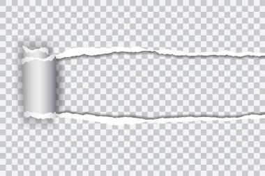 Vektör gerçekçi çizim şeffaf yırtık kağıt rulo kenar ile şeffaf arka plan üzerinde ayarlayın.