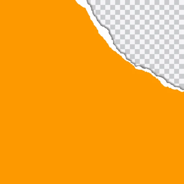 Vector ilustración realista de papel desgarrado naranja con sombra sobre fondo transparente con marco para texto — Vector de stock