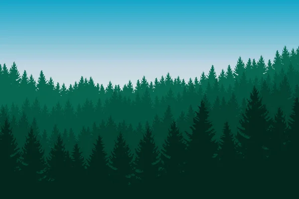 Ilustração vetorial de floresta conífera com árvores verdes em várias camadas sob um céu azul com espaço para texto — Vetor de Stock