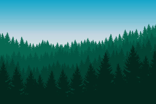 Векторная иллюстрация хвойного леса с зелеными деревьями в нескольких слоях под голубым небом с пространством для текста
