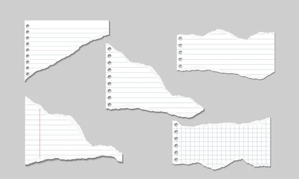 Set of Vector Illustrations of torn pages of notebook paper lined and squared with shadows — Stock Vector