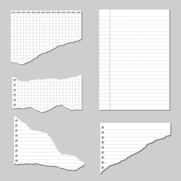 Vektor-Illustrationen von aufgerissenen Seiten Notizbuch-Papier liniert und im Quadrat mit Schatten — Stockvektor