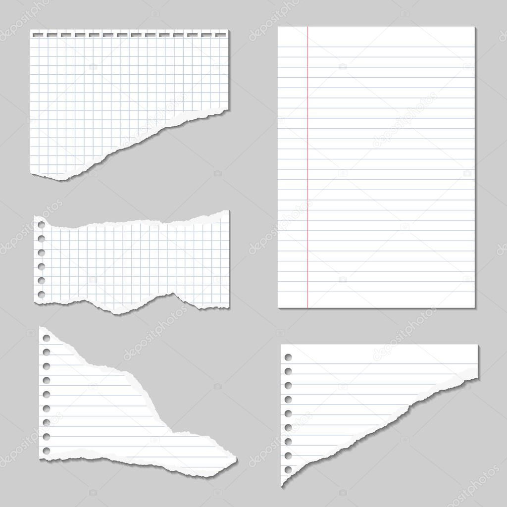 Set of Vector Illustrations of torn pages of notebook paper lined and squared with shadows