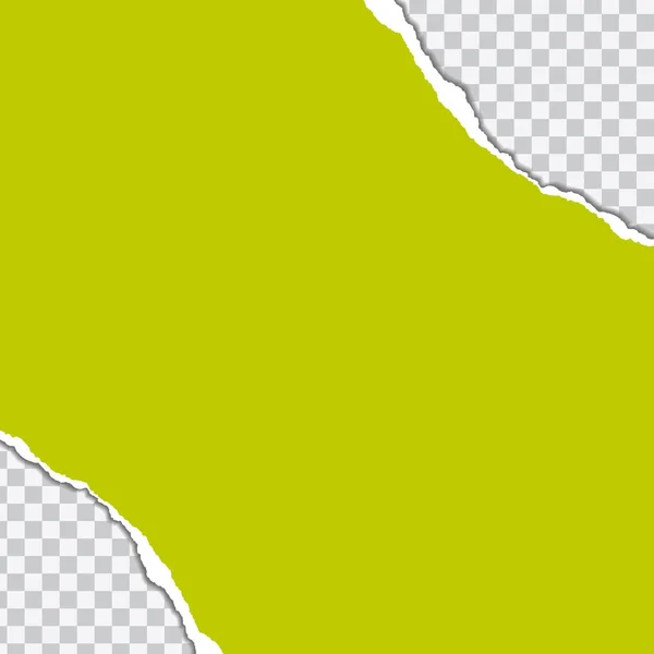 Vector ilustración realista de papel desgarrado verde con sombra sobre fondo transparente con marco para texto — Vector de stock