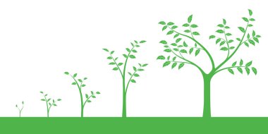 Yeşil simge - bitki veya beş büyüme aşaması, beyaz arka plan üzerinde izole kümesi vektör çizim