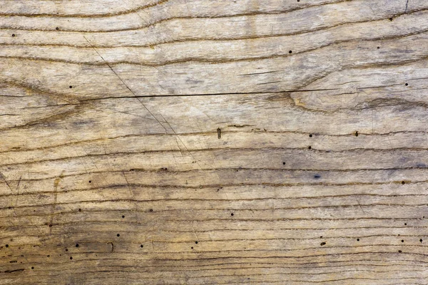 Foto von alten Eichenholzstrukturen mit Rillen und Löchern aus dem Wurm, geeignet als Hintergrund — Stockfoto