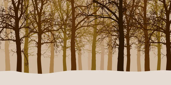 Ilustración vectorial de un bosque invernal sin hojas con fondos nevados y nebulosos — Archivo Imágenes Vectoriales