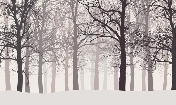 Ilustración vectorial de un bosque invernal sin hojas con fondos nevados y nebulosos — Archivo Imágenes Vectoriales