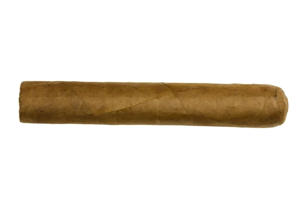 Küba lüks puro tütün yaprakları beyaz arka plan üzerinde izole dan haddelenmiş — Stok fotoğraf
