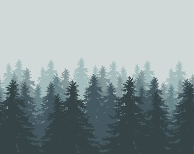 Kış orman sis ve buğu ile vektör çizim