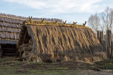 Eski kırsal kulübe bir thatched çatı ile 