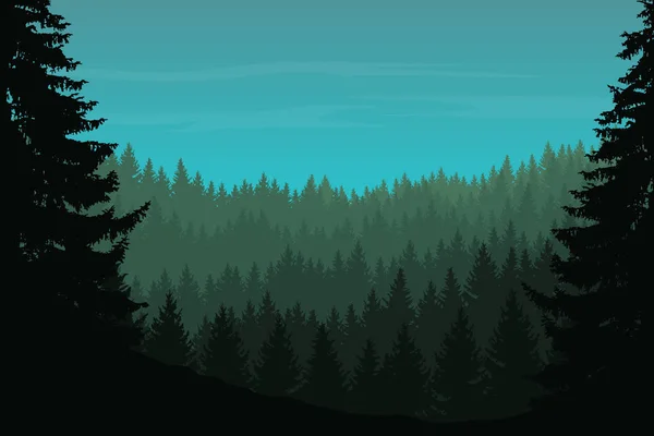 Ilustrație vectorială a unei păduri de conifere cu copaci — Vector de stoc