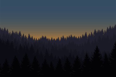 Sabah gökyüzüne yükselen güneşin altında bir orman, bir yatay vektör çizim