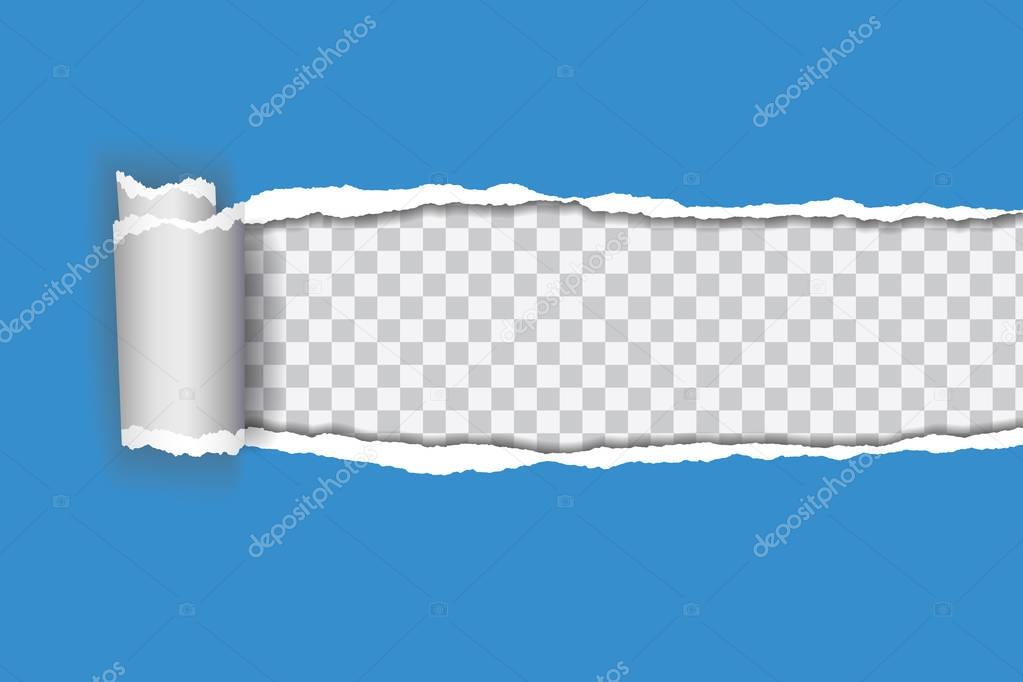 Vector realistic illustration of blue torn paper with rolled edge on transparent background with frame for text