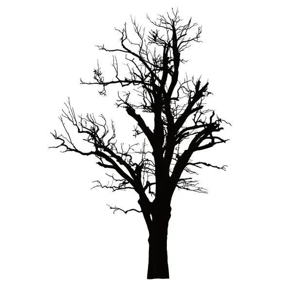 Silhouette réaliste d'un arbre mort aux branches sèches — Image vectorielle