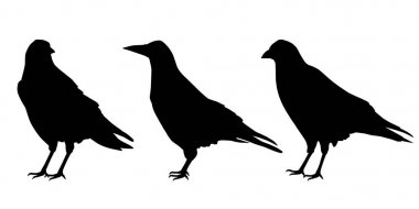 Kuzgunlar oturan üç gerçekçi siluetleri ayarla