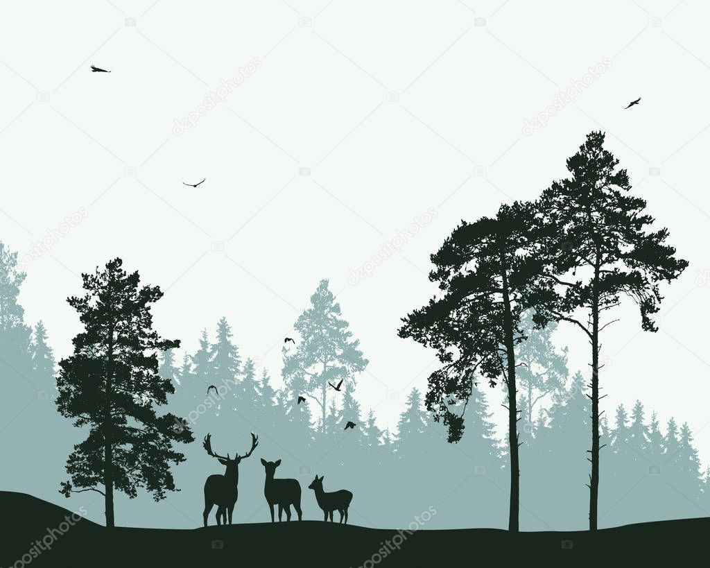 forest with deer and flying birds