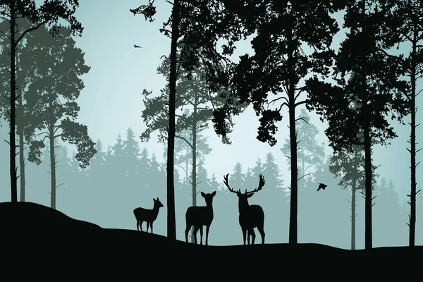 Krajobraz z zielonego lasu, jelenie i ptaki — Wektor stockowy