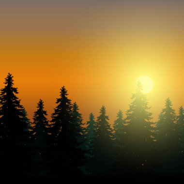 Yatay metin için yer ile şafak ve güneş ışığı - sabah gökyüzü altında iğne yapraklı orman ile vektör