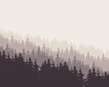 bir orman gri bir gökyüzü altında vektör çizim