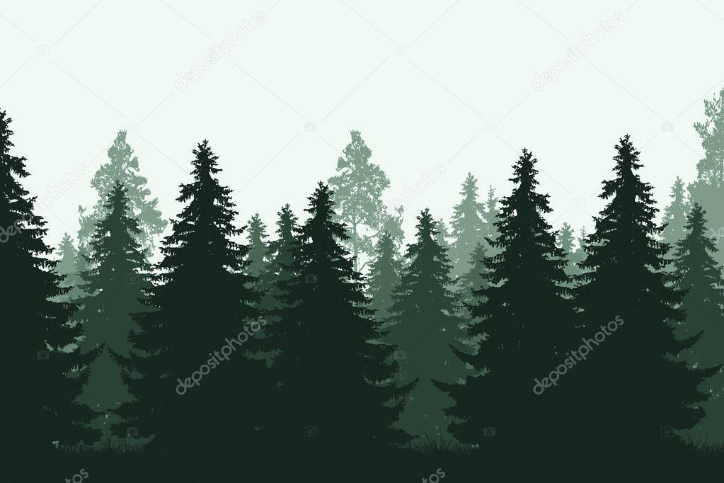 Green coniferous forest with grass - realistic vector